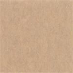 SOLID TISSUE: TAN-2161106 : 20" X 30"